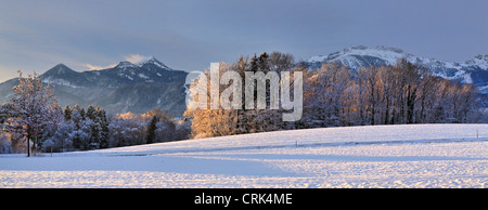 Tôt le matin, paysage d'hiver, Chiemgau Haute-bavière Allemagne Banque D'Images