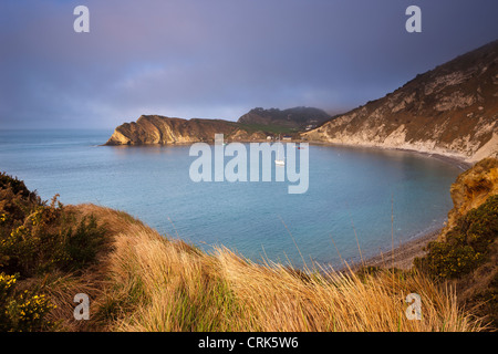 Crique de Lulworth Cove, sur la côte jurassique, Dorset, England, UK Banque D'Images