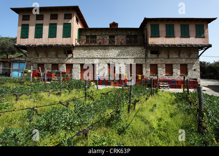 La cave et vigne à Mylopotamos, au Mont Athos, en Grèce. Banque D'Images