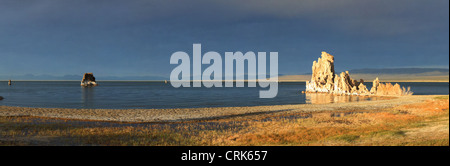 Tours de tuf sur lac Mono, Californie, USA Banque D'Images