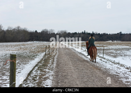 Woman riding horse on snowy path Banque D'Images
