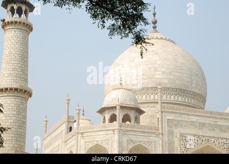 Taj Mahal (vue partielle). Agra, Uttar Pradesh, Inde, UNESCO World Heritage Site. Banque D'Images