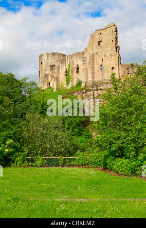 Teesdale, Barnard Castle, County Durham, England, UK. Banque D'Images