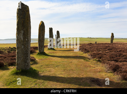 Anneau du Néolithique henge Shetlands cercle de pierres et de pierres est plus grande dans Orcades. Îles Orkney Stenness Ecosse UK Banque D'Images