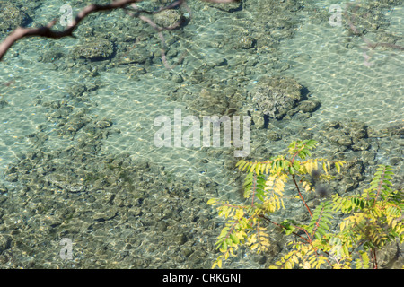 Les eaux tropicales de la mer verte, photo de graphique à partir d'un point élevé Banque D'Images
