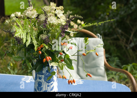 Rosa canina, rose, rose sauvage, Dog rose Banque D'Images