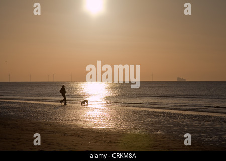 La plage de Formby Merseyside, nord-ouest de l'Angleterre.,13/ Jan/2012.Un homme récupère son chien à partir de la mer. C'est une maison de vacances Banque D'Images