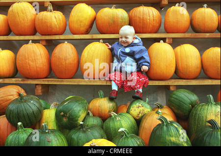 Tout-petit avec des citrouilles Banque D'Images