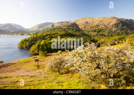 Lac Grasmere au printemps, près de Ambleside dans le Lake District, UK. Banque D'Images