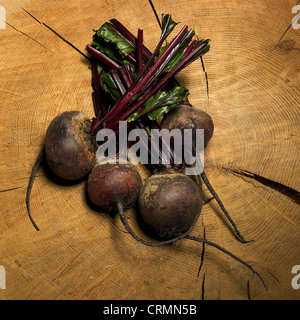 Quatre beetroots sur une souche d'arbre Banque D'Images