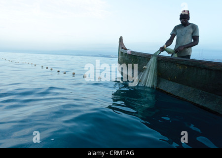 Tirez les pêcheurs dans leurs filets de pêche au large de la côte près de Cape Coast, Ghana, Région du Centre. Banque D'Images