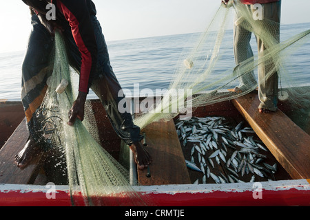 Tirez les pêcheurs dans leurs filets de pêche au large de la côte près de Cape Coast, Ghana, Région du Centre. Banque D'Images