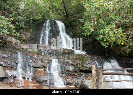 Laurel Falls, parc national des Great Smoky Mountains (New Jersey). Banque D'Images