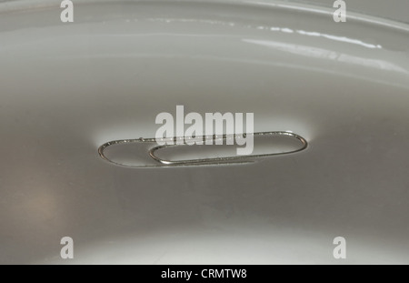 Démonstration de la tension de surface - un trombone flottant sur l'eau Banque D'Images