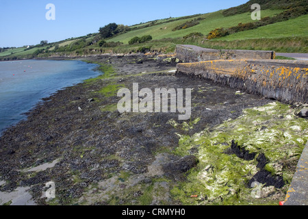 Coutmacsherry Cour de comté du sud de l'Irlande, Eire Europe Banque D'Images