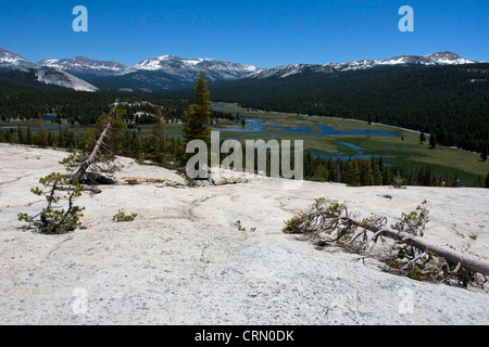 Vue de Lembert Dome Tuolumne Meadows, près de Yosemite National Park, California, USA en juillet et vue sur les pâturages ci-dessous. Banque D'Images