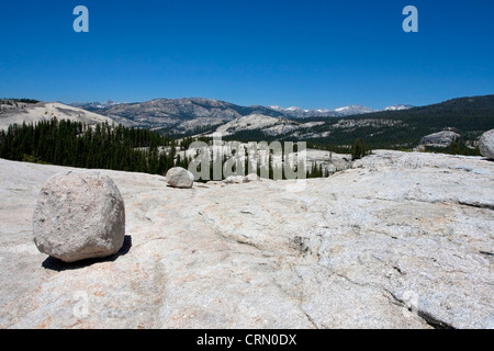 Vue de Lembert Dome Tuolumne Meadows, près de Yosemite National Park, California, USA en juillet Banque D'Images