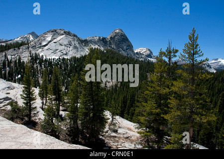 Vue de Lembert Dome Tuolumne Meadows, près de Yosemite National Park, California, USA en juillet Banque D'Images