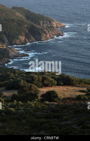 Beau littoral corse. Banque D'Images