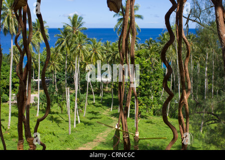 Vigne pendaison prêt pour les cavaliers, avant la cérémonie des terres Nagol, la Pentecôte, l'île de Vanuatu Banque D'Images