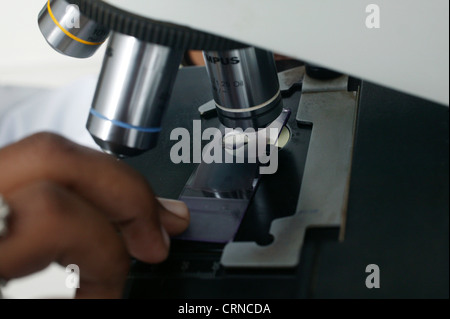 Un technicien de laboratoire s'aligne une diapositive dans le support sur un microscope. Banque D'Images