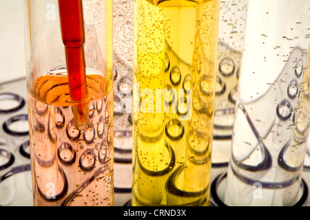 Le pipetage liquide rouge dans les tubes à essai. Banque D'Images