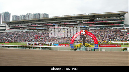 Le cheval contre la toile de fond de l'hippodrome de Sha Tin à Hong Kong Banque D'Images