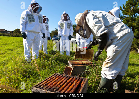 Un apiculteur illustrer l'art de l'apiculture à un groupe de personnes qui portaient tous des vêtements de protection. Banque D'Images