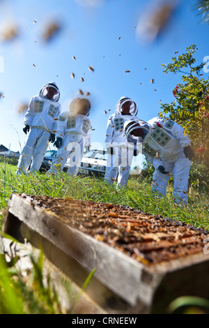 Un groupe de personnes tout en portant des vêtements à la recherche vers une ruche au cours d'une manifestation de l'apiculture. Banque D'Images