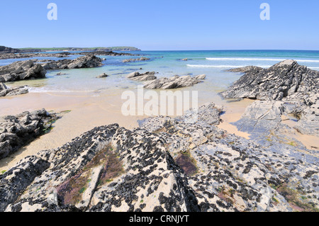 Plage avec la moule commune (Mytilus edulis) attaché aux rochers à marée basse à Constantine bay. Banque D'Images