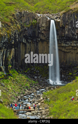 Groupe de randonneurs à cascade Svartifoss avec de grandes colonnes de basalte vitesse lente le parc national de Skaftafell l'Islande du Sud Europe de l'UE Banque D'Images