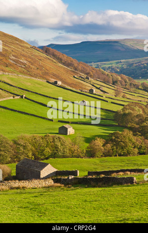 Parc national des Yorkshire Dales Granges traditionnelles en pierre Swaledale Granges en pierre à Swaledale près de Keld Yorkshire Dales North Yorkshire Angleterre Royaume-Uni Banque D'Images