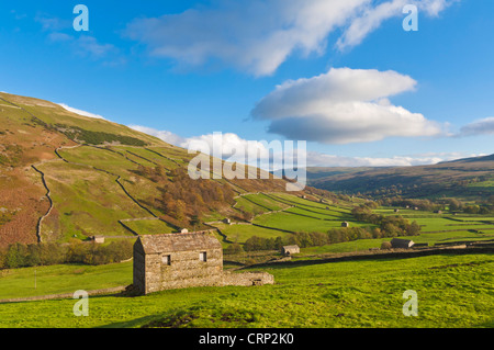 Parc national des Yorkshire Dales Swaledale Yorkshire Traditional Stone Grands in Upper Swaledale près de Keld Yorkshire Dales North Yorkshire England UK GB Banque D'Images