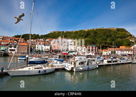 Les bateaux de loisirs mouillée dans l'avant-port à Scarborough. Banque D'Images