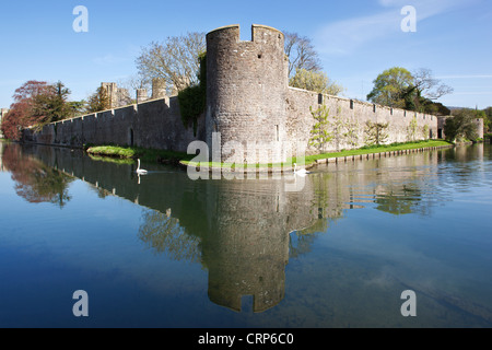 Le Bishop's Palace, accueil aux évêques de Bath et Wells pendant 800 ans, ce qui se reflète dans les douves. Banque D'Images