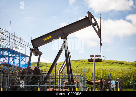 Un âne acquiesce à la pompe à huile, la baie de Kimmeridge Dorset, la seule réserve de pétrole à terre au Royaume-Uni . Banque D'Images