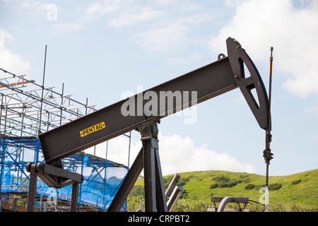 Un âne acquiesce à la pompe à huile, la baie de Kimmeridge Dorset, la seule réserve de pétrole à terre au Royaume-Uni . Banque D'Images