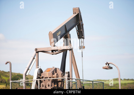 Un âne acquiesce à la pompe à huile, la baie de Kimmeridge Dorset, la seule réserve de pétrole à terre au Royaume-Uni . Banque D'Images