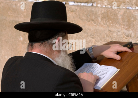 Juif orthodoxe lit la Torah sur le mur ouest de la vieille ville, Jérusalem, Israël Banque D'Images