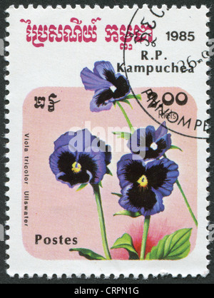 CIRCA 1985-KAMPUCHEA : timbre imprimé dans le Cambodge, représente une fleur Viola tricolor (Heartsease), vers 1985 Banque D'Images