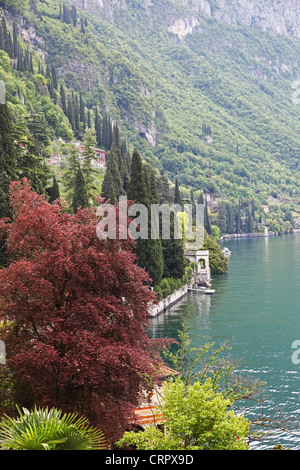 Les jardins de Villa Monastero Varenna Lac de Côme Italie Banque D'Images