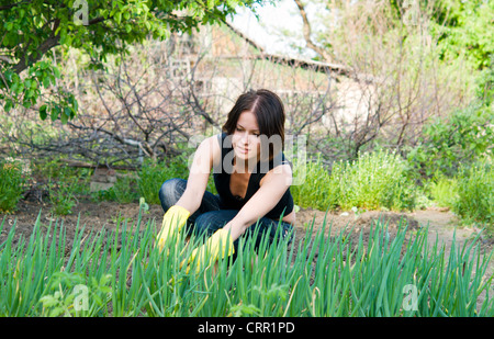 Belle jeune femme travaillant dans le jardin Banque D'Images