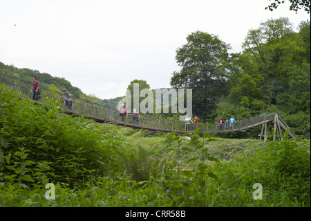 Sentier de suspension pont sur la rivière Wye au Biblins près de Symonds Yat herefordshire angleterre Banque D'Images