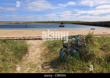 Des casiers à homard et voir à travers son à Burray Weddell avec barrière Churchill causeway de Glimps Holm Orkney Islands Scotland UK Banque D'Images