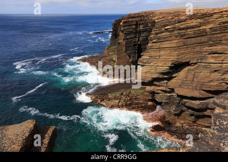 Le long de la côte sauvage de falaises de grès rouge sur la côte continentale à Yesnaby Orkney Islands Scotland UK Banque D'Images