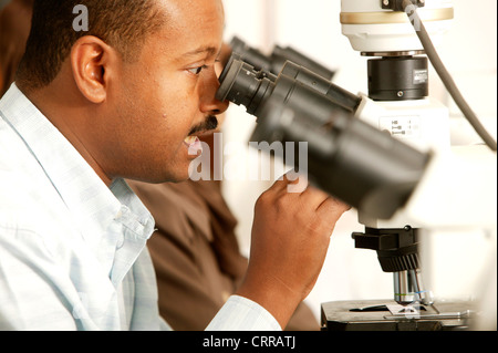 Un pathologiste examine son microscope à la cytologie des échantillons. Banque D'Images