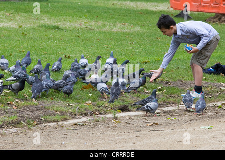 Le Boy feeding pigeons sur un bord de l'herbe Banque D'Images