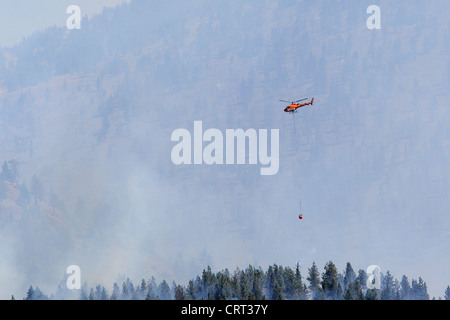 Un hélicoptère du Service forestier des États-Unis transporte l'eau d'un incendie de forêt près de Bonner, Montana, USA Banque D'Images