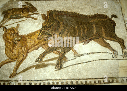 Début du 3e siècle av. J.-C. mosaïque romaine représentant une chasse au sanglier et au lièvre. De Hadrumetum (Sousse), Tunisie. Musée du Bardo, Tunis, Tunisie Banque D'Images