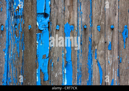 Détail sur un hangar en bois, restes de bleu la peinture s'écaille de la bois en décomposition. Banque D'Images